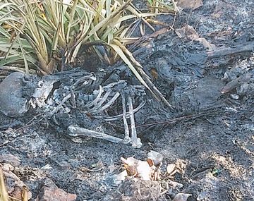 Encontraron un cuerpo quemado en el río e investigan si es un abogado desaparecido el año pasado