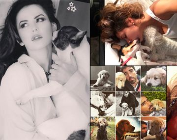 {altText(,#DíaDelAnimal: los emotivos saludos de los famosos en las redes sociales)}