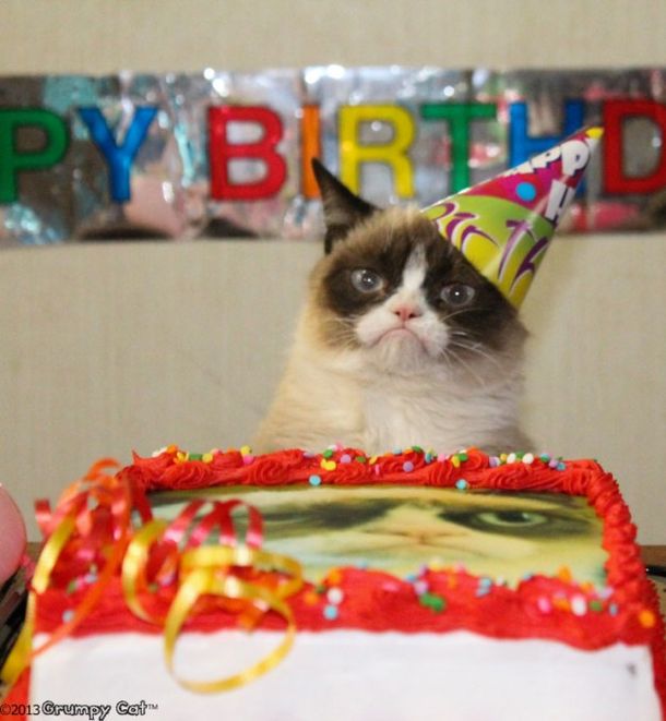 Grumpy Cat, el gato malhumorado, cumplió años