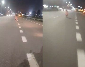 Los automovilistas dieron aviso a la Policía y lograron contenerla