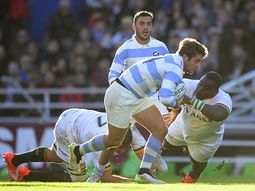 mira las mejores imagenes de la derrota de los pumas ante sudafrica mira las mejores imagenes de la derrota de los pumas ante sudafrica