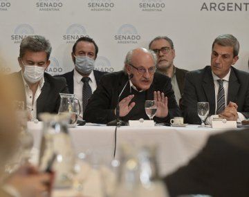 Pagar al FMI con fondos fugados: la semana que viene continuará el debate