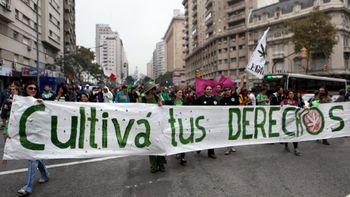 ¿por que legalizaron la marihuana en uruguay? un documental lo explica ¿por que legalizaron la marihuana en uruguay? un documental lo explica