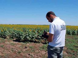 ARBA pone la lupa en los arrendatarios de campos bonaerenses