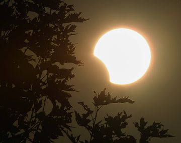 Fugaz desaparición del Sol maravilló a Kenia