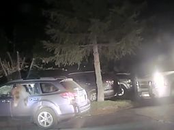 Los sheriffs tuvieron que rescatar al oso curioso que quedó atrapado en el auto