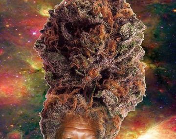 Los memes de Morgan Freeman tras sus dichos sobre la marihuana