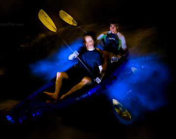 Misterio porque se apagó una laguna bioluminiscente