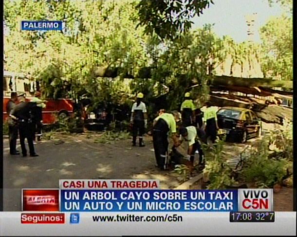 Un árbol aplastó un taxi, un auto y un micro escolar: no hay heridos