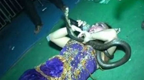 Una cantante murió en el escenario tras ser picada por una de sus cobras