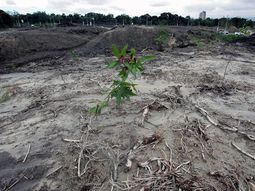 El cambio climático podría causar pérdidas de la capacidad productiva de Uruguay del 14% de su PBI. El cambio climático podría causar pérdidas de la capacidad productiva de Uruguay del 14% de su PBI.