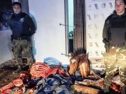 Mataban caballos y vendían su carne para hamburgueserías