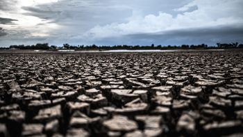 La sequía, un factor determinante para un mal año del sector agropecuario. La sequía, un factor determinante para un mal año del sector agropecuario.