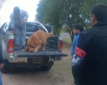 Salta: detuvieron a tres sospechosos tras incautar más de 98 kilos de cocaína