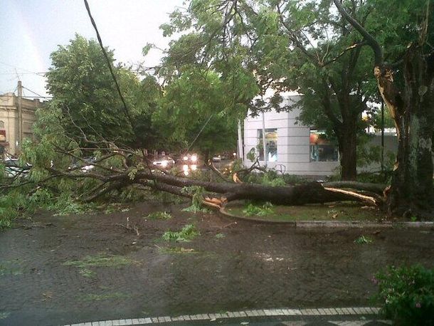 @CardosoClaudio9 La Plata