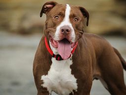 Foto ilustrativa Foto ilustrativa