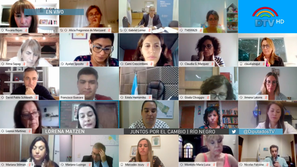 Diputados: por videoconferencia, se reúne la Comisión de Familias, Niñez y Juventudes