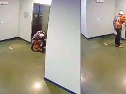 VIDEO: Salvó a un perro de morir estrangulado con su propia correa