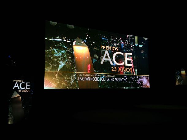 Se entregaron los premios ACE: conocé todos los ganadores