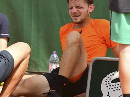 video: asi fue el golpe que dejo a goffin afuera de roland garros video: asi fue el golpe que dejo a goffin afuera de roland garros