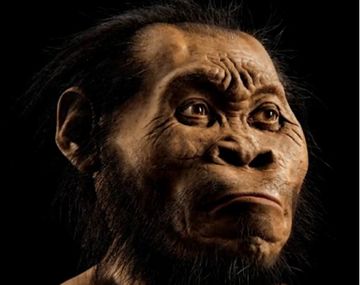Descubren un nuevo antepasado del hombre en Sudáfrica: el Homo naledi