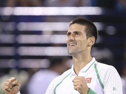 djokovic derroto a del potro y alcanzo la final de dubai djokovic derroto a del potro y alcanzo la final de dubai