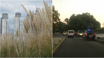 ¿como es el operativo en la reserva ecologica para encontrar al joven? ¿como es el operativo en la reserva ecologica para encontrar al joven?