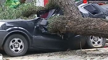 La camioneta quedó totalmente destruida La camioneta quedó totalmente destruida
