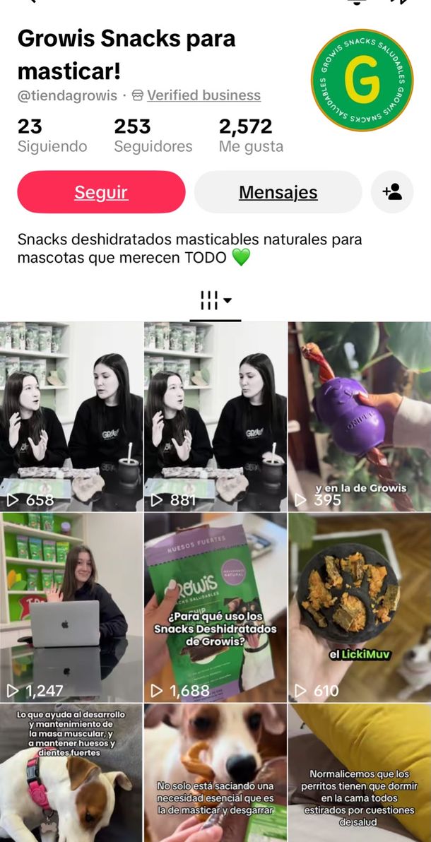 TikTok anunció los 10 finalistas del programa #EmprendeEnTikTok en Argentina