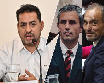 Familiar apuntó contra Lule y Martín Menem: Están metidos en los hechos de corrupción del gobierno