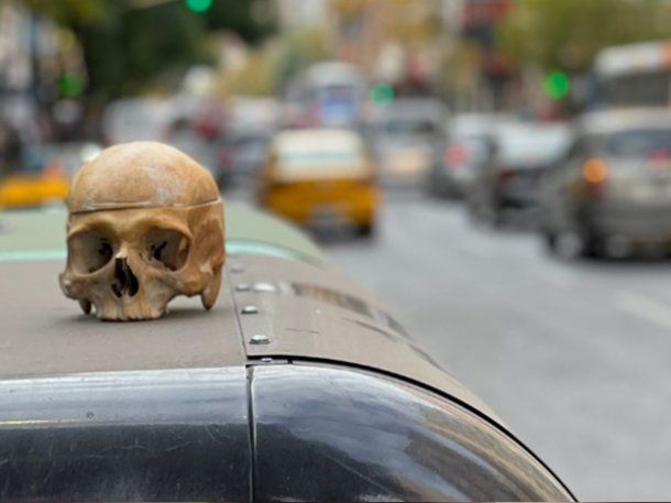 Misterio en Córdoba: hallaron un cráneo humano en plena avenida