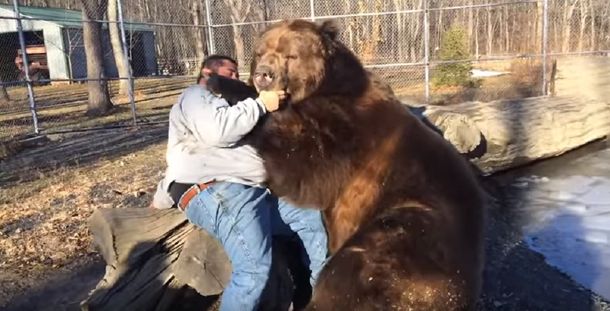 VIDEO: Un hombre, a los abrazos con un oso