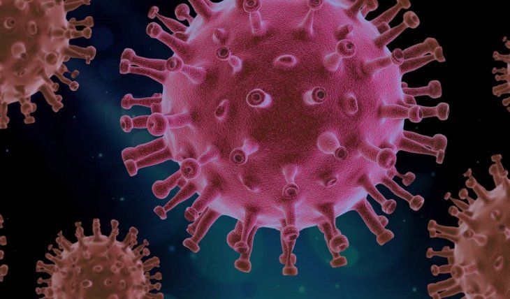 Coronavirus: un estudio advierte que la inmunidad podría durar meses o incluso años tras una primera infección