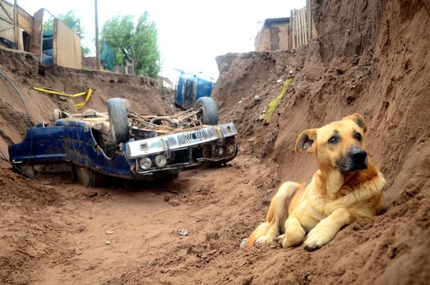 Neuquén: un muerto y más de 1.300 evacuados por el temporal