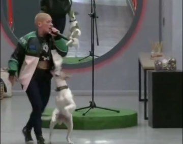 Gran Hermano: qué pasó entre Furia y Arturo