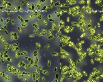 Presentan un celular que protegerá de las bacterias