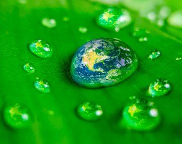 Por qué hoy es el Día Mundial del Medio Ambiente