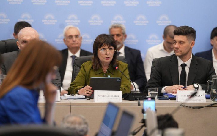 Varios diputados cruzaron a Patricia Bullrich: ¡Asesina de bebés!