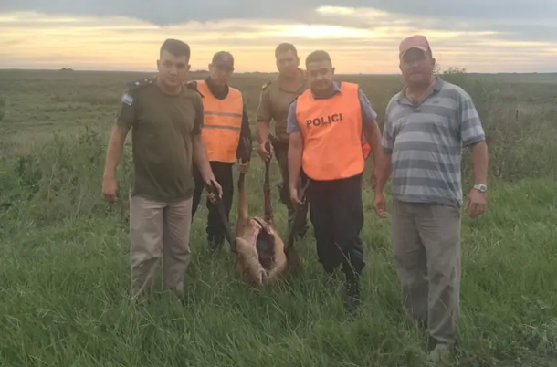 Tres demorados por cazar un monumento natural en Corrientes