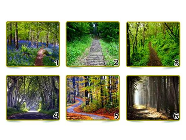 Test viral: el camino que elijas revelará cómo es tu personalidad