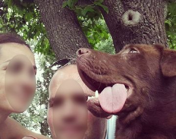 Definen si excarcelan al hombre que se olvidó a su hija y murió asfixiada