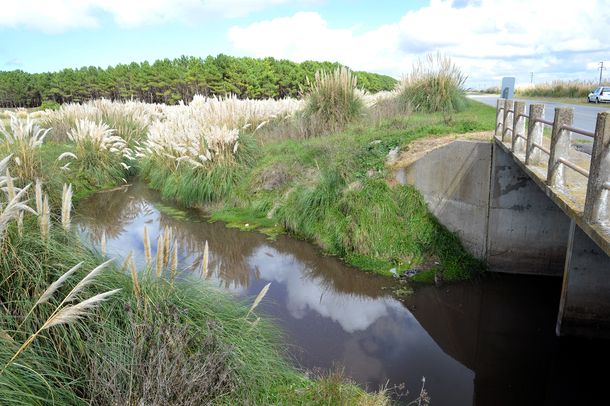 El lugar donde fue hallado el cadáver