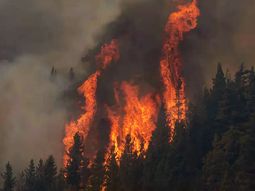 se intensifican los incendios en chubut por la ola de calor, la sequia y los vientos que azotan la region se intensifican los incendios en chubut por la ola de calor, la sequia y los vientos que azotan la region