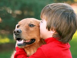 ¿queres cuidar a tu mascota? lanzaron un seguro para perros y gatos ¿queres cuidar a tu mascota? lanzaron un seguro para perros y gatos