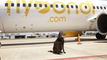El primer avión de la compañía, llamado Nelson El primer avión de la compañía, llamado Nelson
