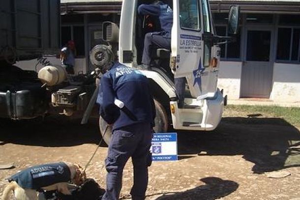 Procedimiento antidroga Salta 2