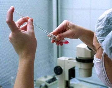 Fertilización asistida