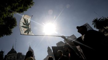 miles pideron en todo el pais despenalizar la marihuana miles pideron en todo el pais despenalizar la marihuana