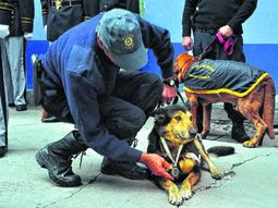 Gentileza diario de Río Negro. Gentileza diario de Río Negro.