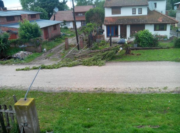 Mar del Plata también: anegamiento de calles y caída de árboles por el #Temporal